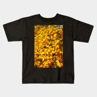 Autumn leaves, leaf color, beech, tree Kids T-Shirt